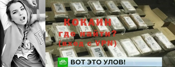 прущие грибы Балахна