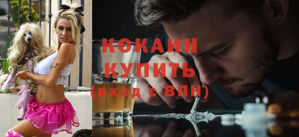 прущие грибы Балахна