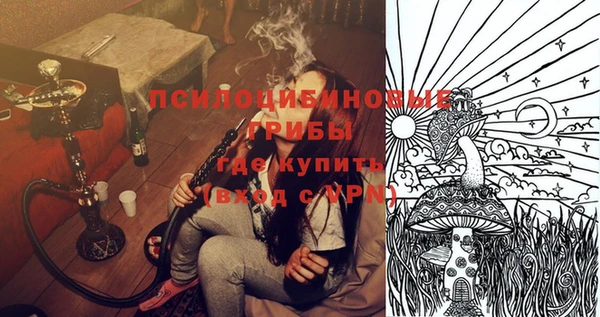 прущие грибы Балахна