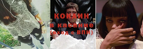 прущие грибы Балахна