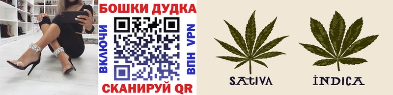 МАРИХУАНА конопля Нефтегорск